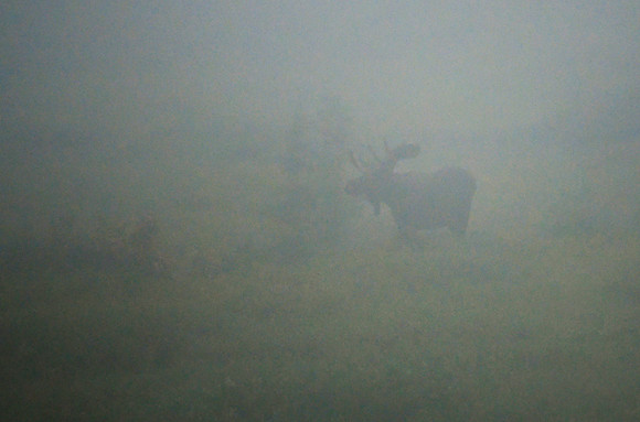 DSC_8692_edited