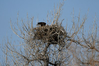 DSC_3496_edited