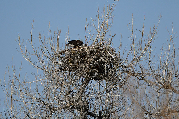 DSC_3496_edited