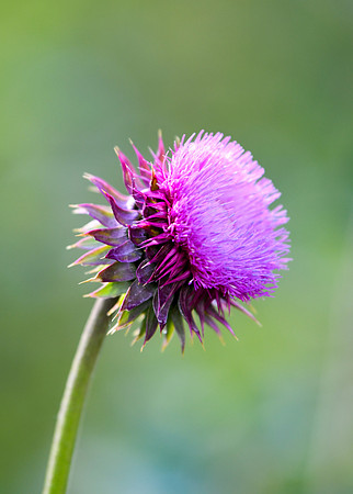 DSC_8166_edited