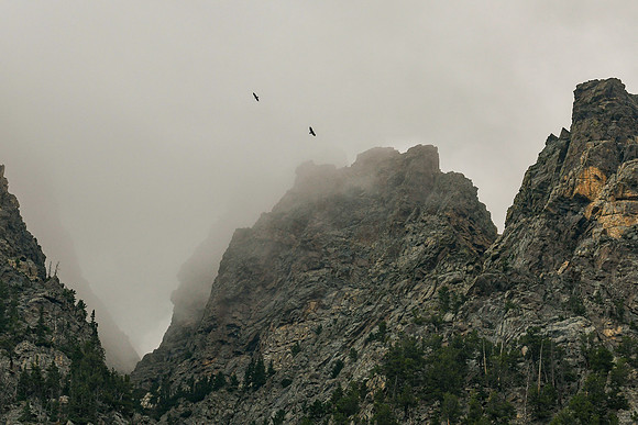 DSC_8263_edited - Golden Eagles soar among the Silver Plume Granite spires