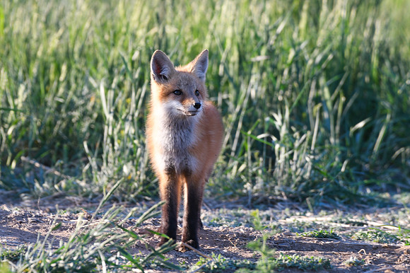 DSC_5198_edited
