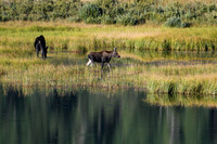 DSC_4924_edited