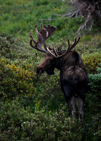 DSC_0851_edited-2