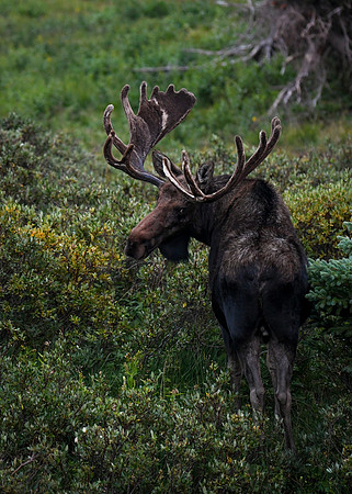 DSC_0851_edited-2