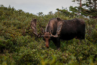DSC_0876_edited