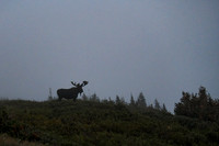 DSC_1014_edited-2