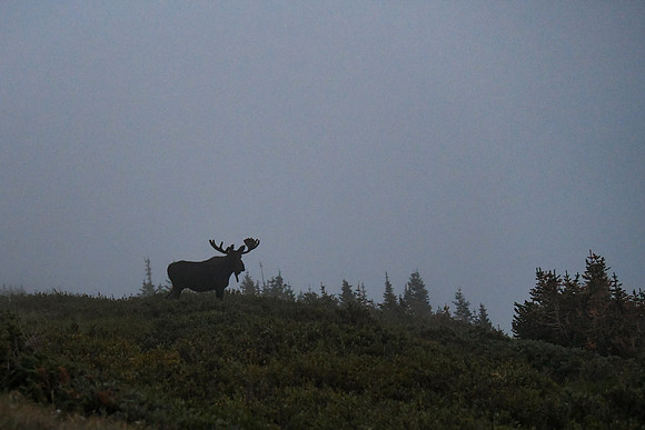 DSC_1014_edited-2
