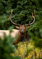 DSC_1422_edited