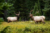 DSC_1357_edited