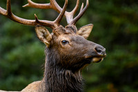 DSC_1413_edited-2