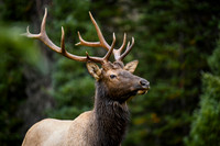 DSC_1413_edited