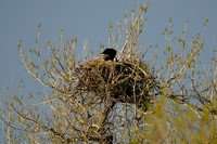 DSC_5841_edited