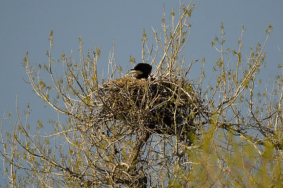 DSC_5841_edited