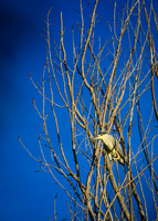 DSC_1662_edited-2