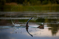DSC_1705_edited-2
