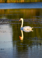 DSC_1559_edited