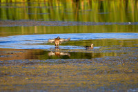 DSC_1594_edited