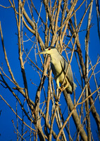 DSC_1638_edited