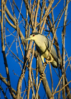 DSC_1657_edited-2