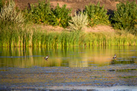 DSC_1572_edited
