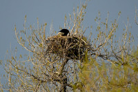 DSC_5796_edited