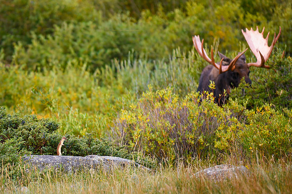 DSC_2810_edited-2-MXK - 2026/09/06
