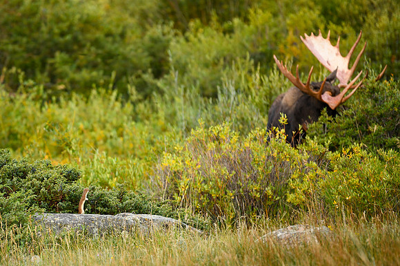 DSC_2816_edited_edited-MXK - 2026/09/06