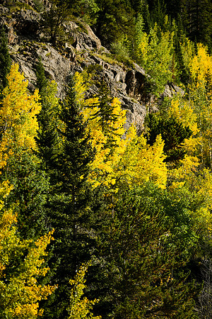 DSC_0402_edited
