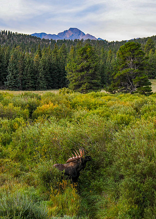 DSC_9660_edited-original_edited-5x7 - 2026/09/06