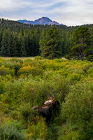 DSC_9659_edited-4x6-1 - 2026/09/06
