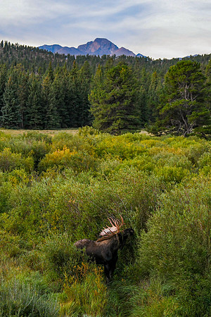 DSC_9659_edited-4x6-1 - 2026/09/06