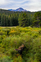 DSC_9660_edited-original_edited - 2026/09/06