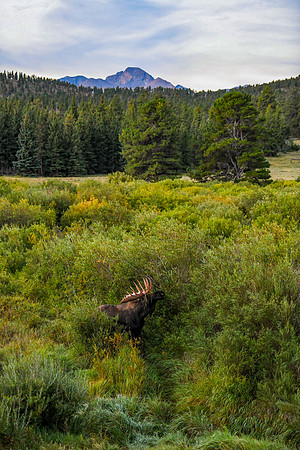 DSC_9660_edited-original - 2026/09/06