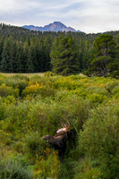 DSC_9659_edited-4x6 - 2026/09/06