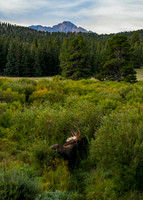 DSC_9659_edited-5x7 - 2026/09/06