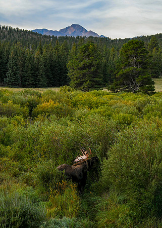 DSC_9659_edited-5x7 - 2026/09/06