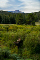 DSC_9659_edited - 2026/09/06