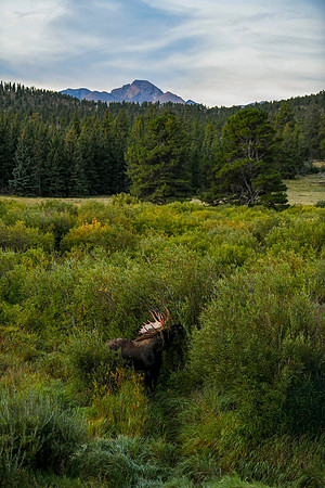 DSC_9659_edited - 2026/09/06