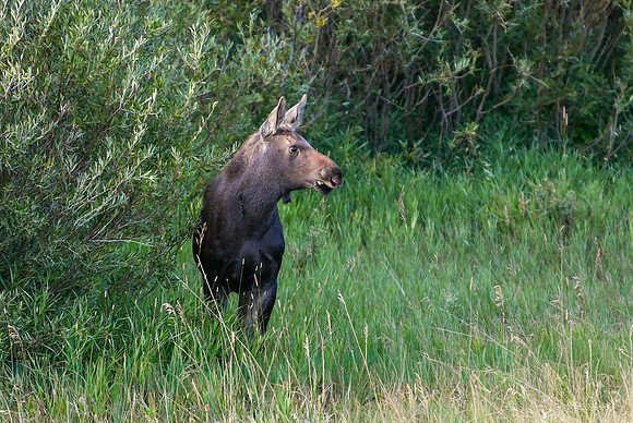 DSC_0157_edited