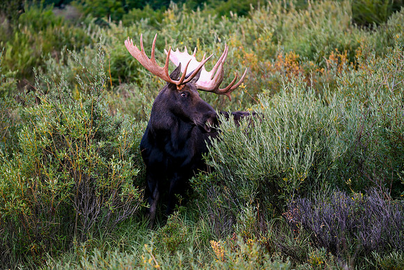 DSC_9840_edited-4x6 - 2026/09/06