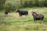 DSC_9502_edited_edited - 2026/09/06