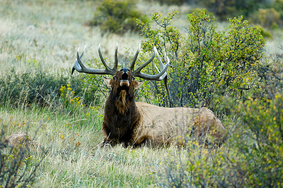 DSC_1302_edited