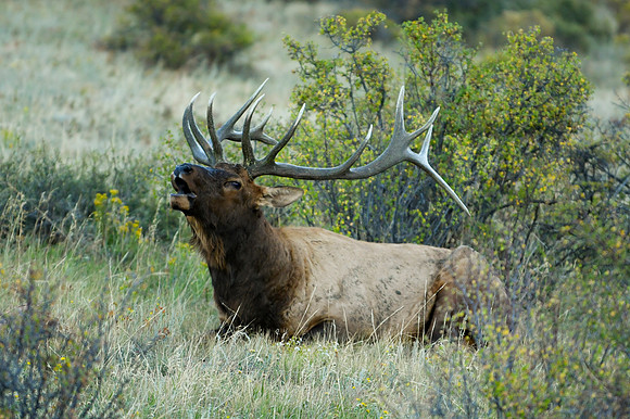 DSC_1321_edited-1