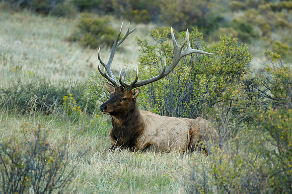 DSC_1315_edited