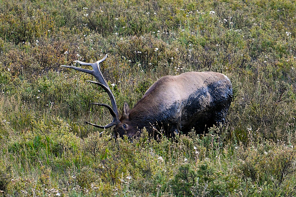 DSC_1215_edited
