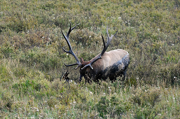 DSC_1231_edited