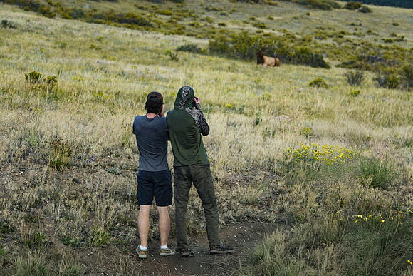 DSC_1244_edited_edited - The BEST Adventure Buddies!