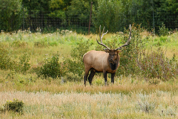 DSC_1059_edited