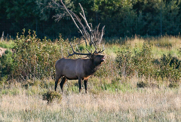DSC_1197_edited